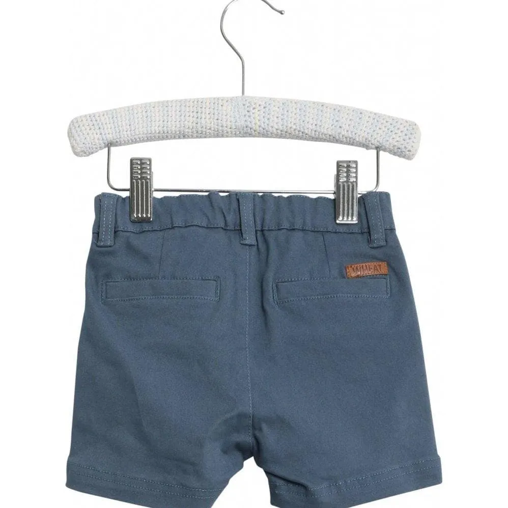 Chino Shorts Ditmer - Bering Sea