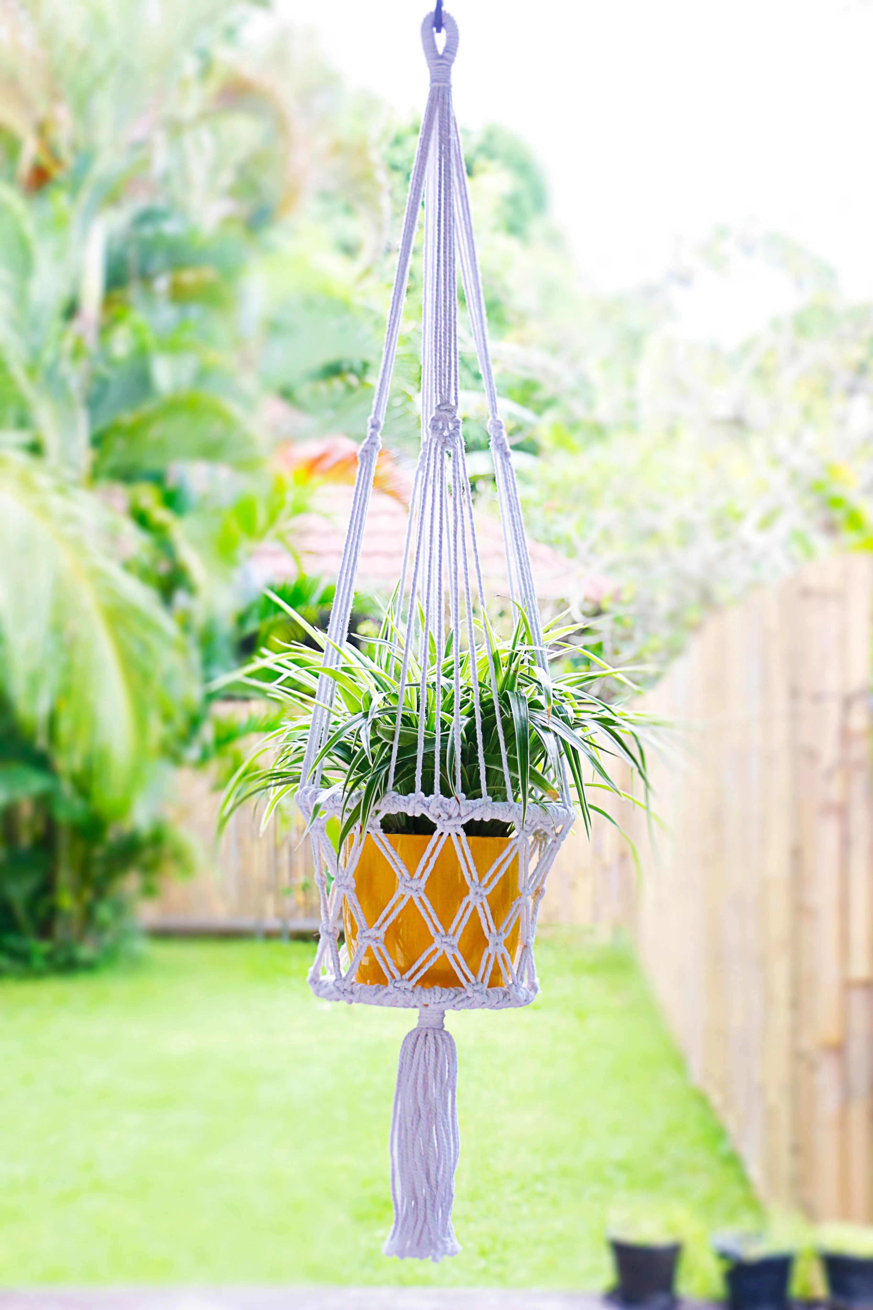 Handmade Macrame Hanging Planters