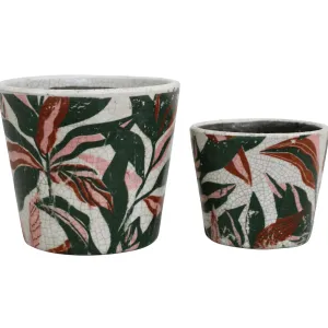 Rainforest Pots Set of 2